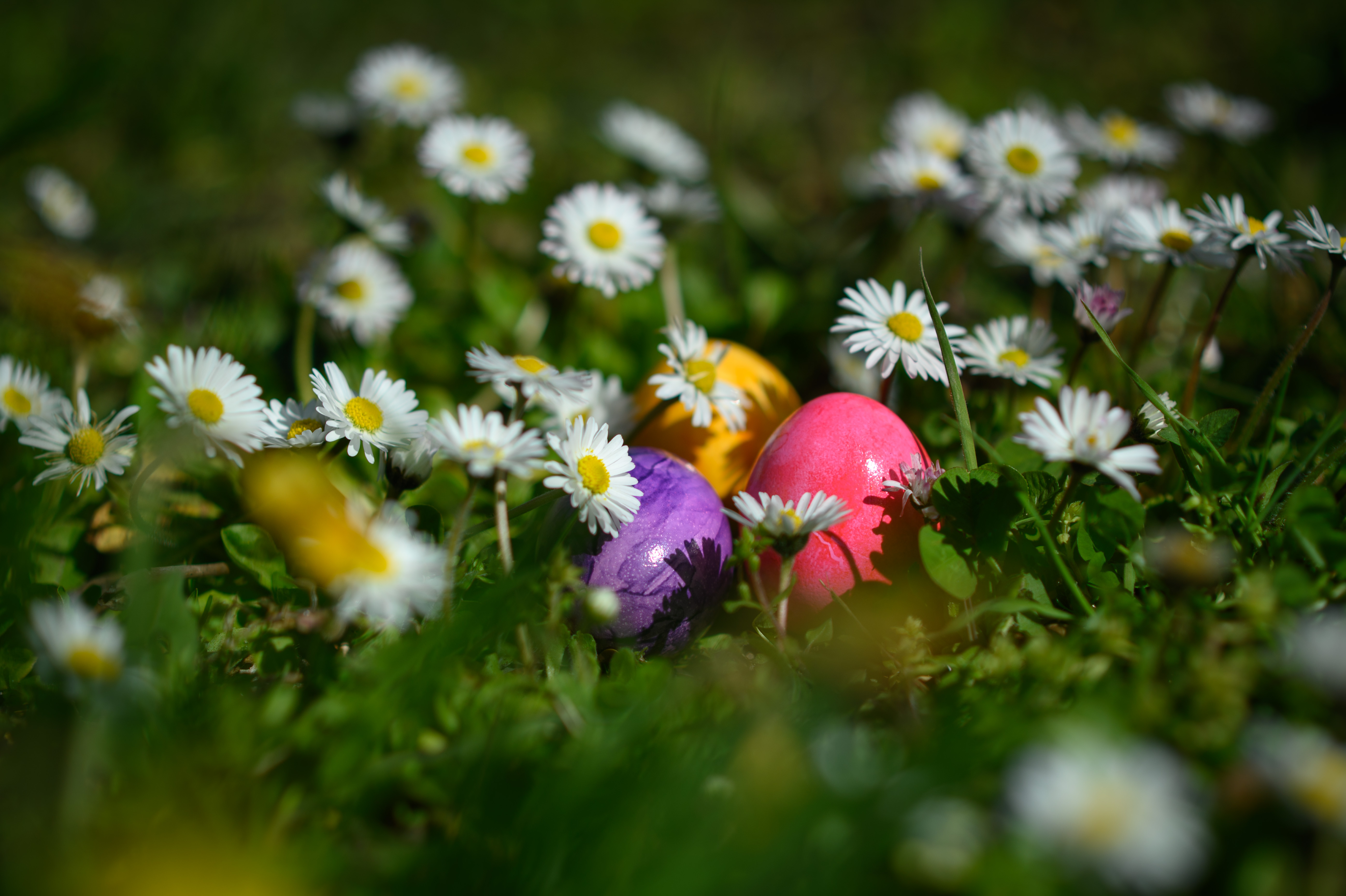 Berlin, Themenbild Osteiersuche