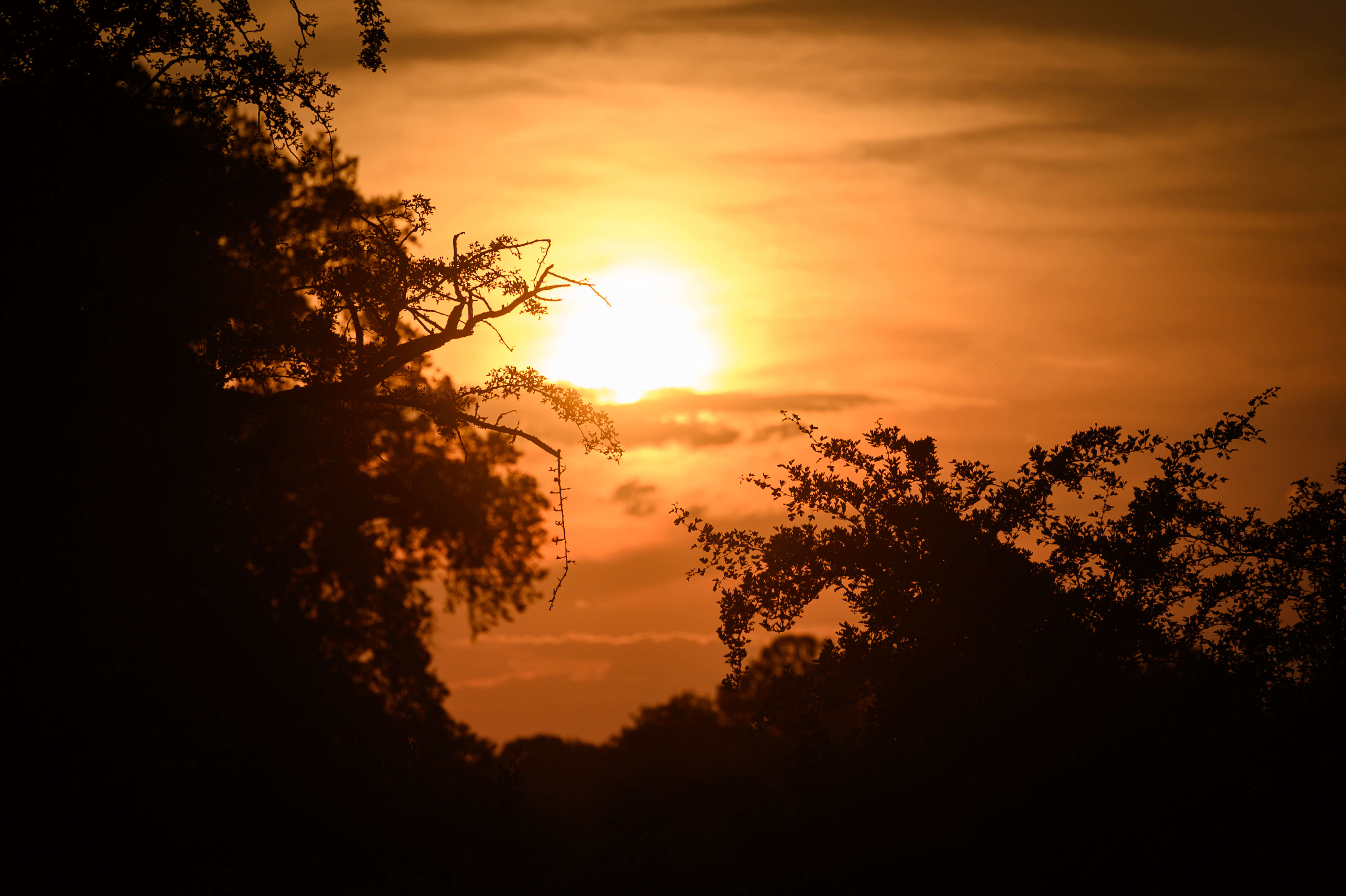 Karchow, Sonnenuntergang in Karchow (Bütow)