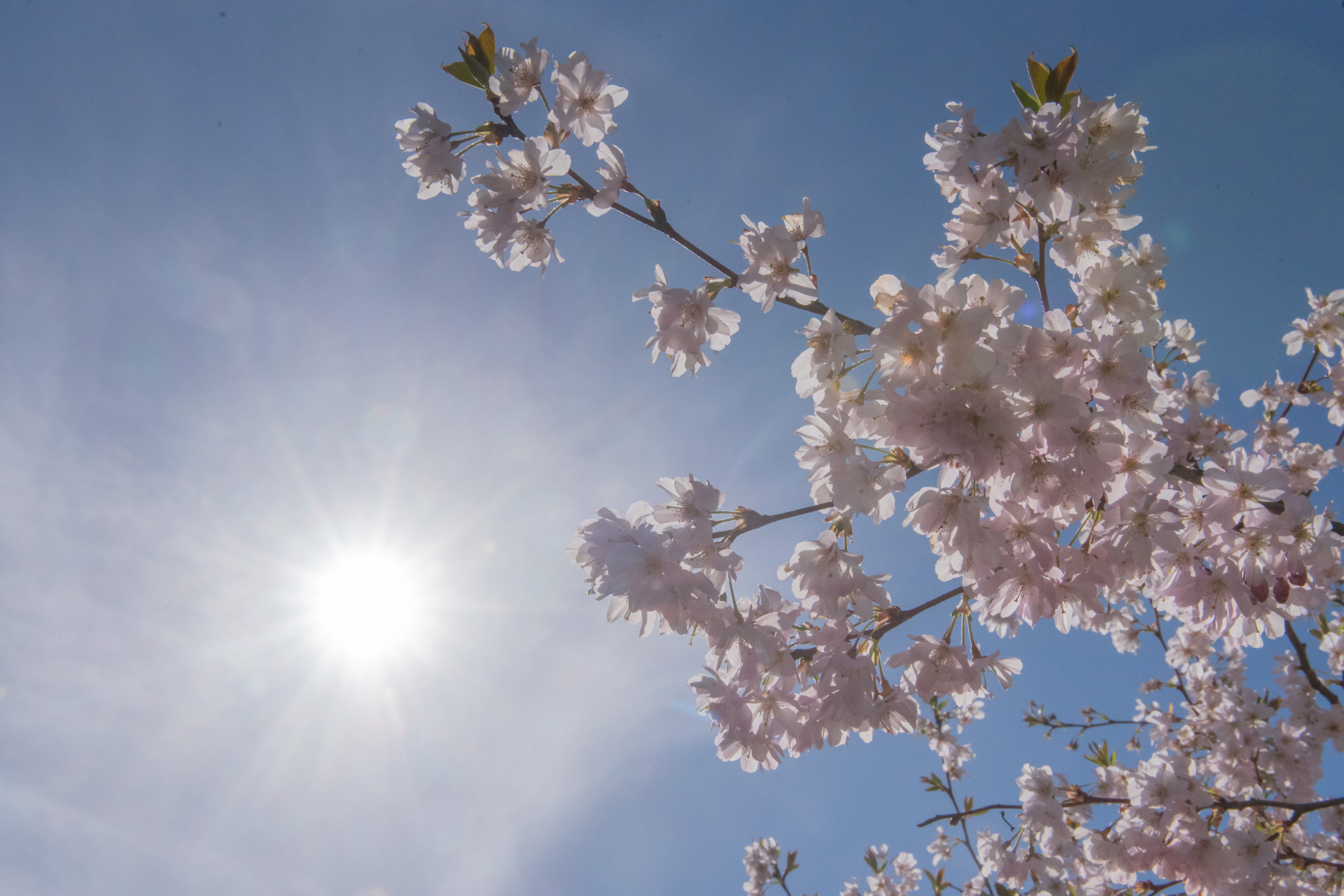 20210414_AdoraPress_Wetterbild_517